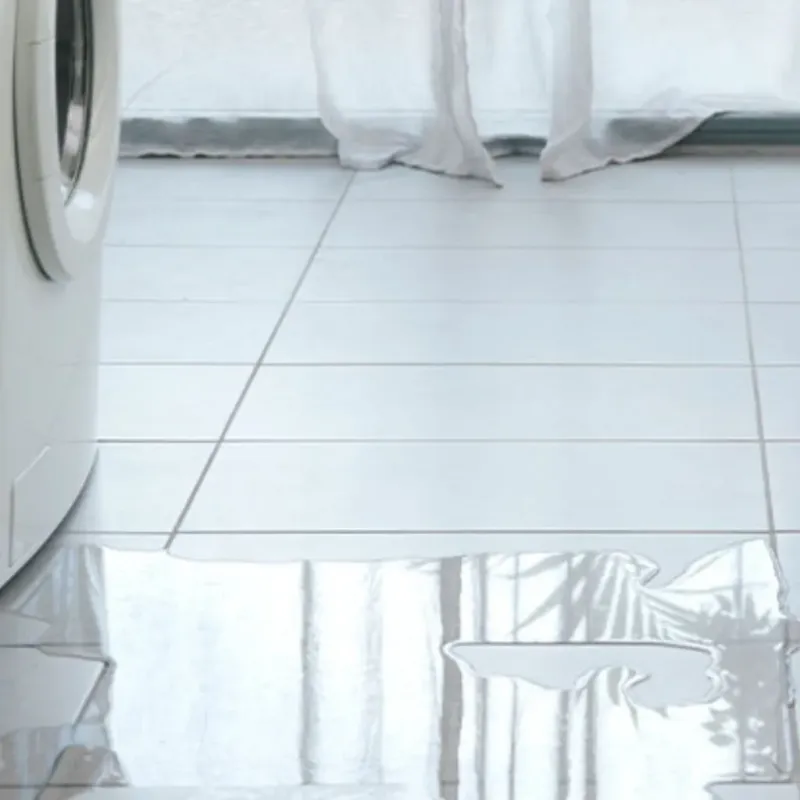 Appliance Leak Cleanup in Granite County, MT