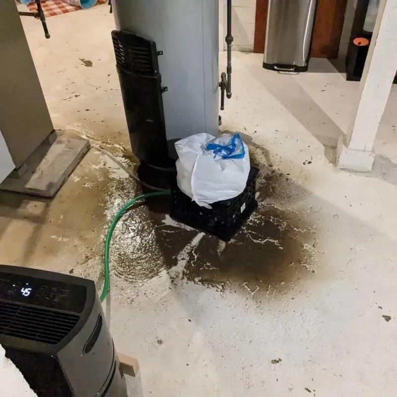 Sewage Backup Cleanup Service in Granite County, MT
